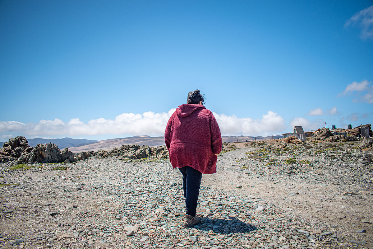 Soledad Fuentealba: Soledad Fuentealba Triviño - Los Toyos / Huasco