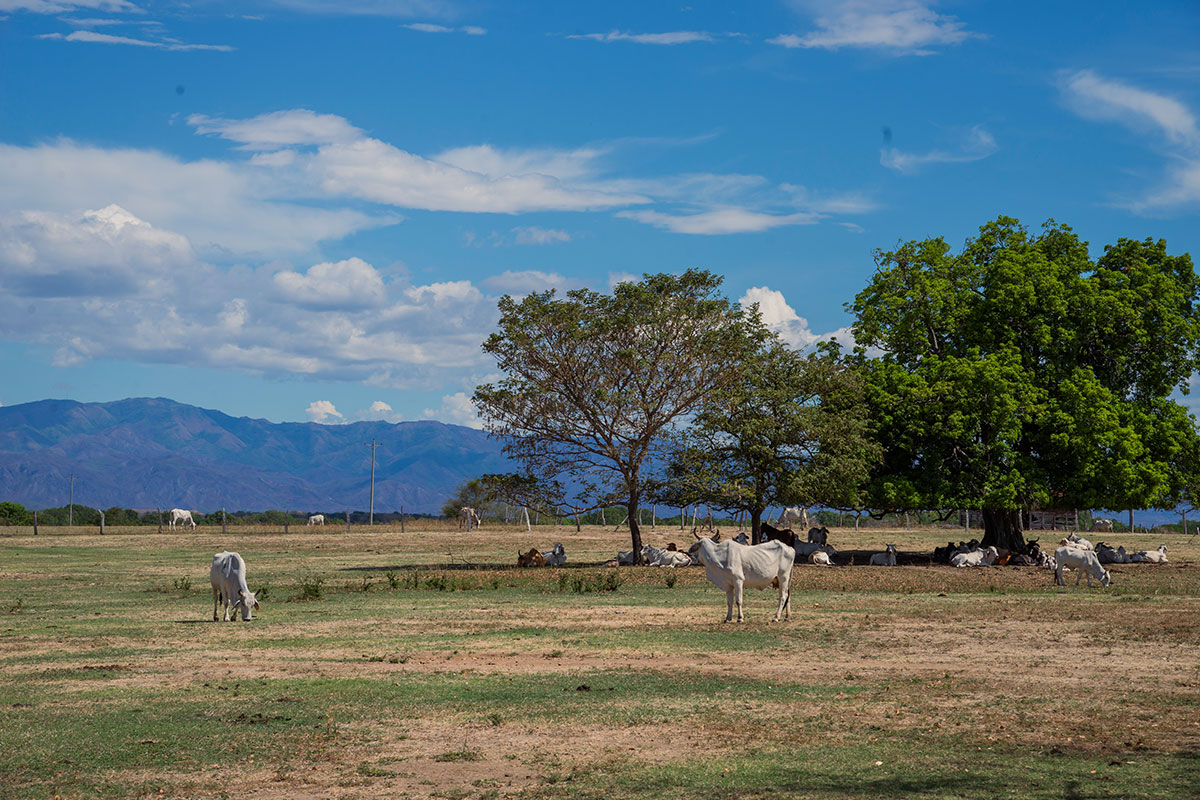 Solo hasta el 2007, siete años después de su constitución como Resguardo, llegó el sistema eléctrico tradicional a la vereda donde se encuentra.